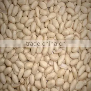 Blanched Peanut Kernels thumbnail-1
