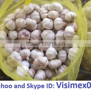 FRESH GARLIC thumbnail-1