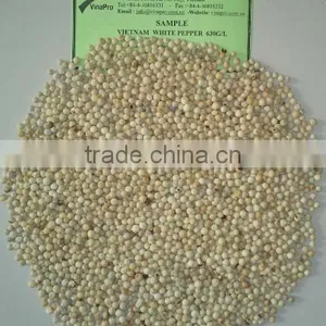 VINAPRO WHITE PEPPER 630G/L (+841657106604 - WHATSAPP) thumbnail-3