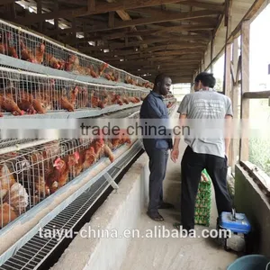 TAIYU Design Layer Chicken Cages In Kenya thumbnail-4