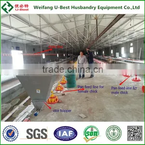 Breeder Poultry House Equipment/chain Feeding System thumbnail-3