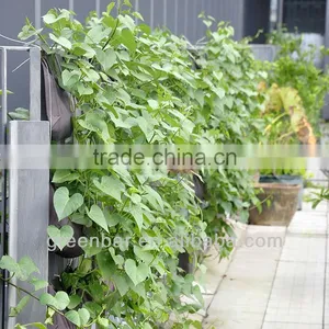 Vertical Garden Systems Vertical Garden Modules thumbnail-1