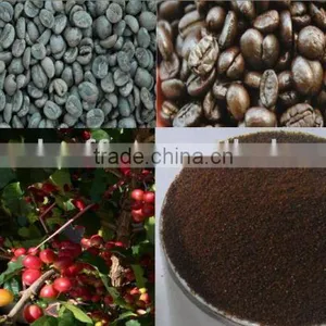 Green Coffee Bean thumbnail-1