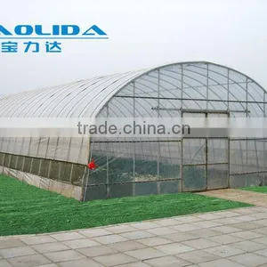 Cheap Vegetables Tunnel Greenhouse Baolida Tunnel Green House thumbnail-1