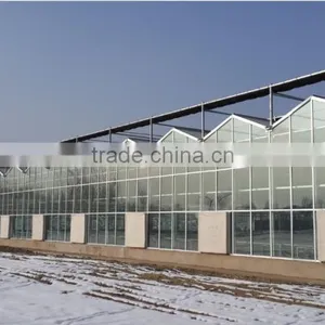 Commercial Glass Greenhouse for Sale thumbnail-1