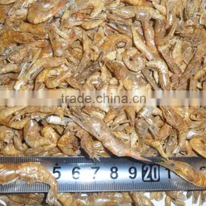 Fish Meal Type and Fish Use Dried Shrimp thumbnail-1
