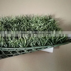 Fire-proof and UV-proof Artificial Grass Plastic Graden Fence thumbnail-3