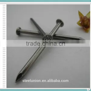 Factory Common Wire Nail/Common Nail for Construction/Common Nail thumbnail-3
