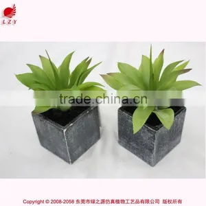 High Quality Wholesale Artificial Mini Succulents,mini Artificial Agave thumbnail-4