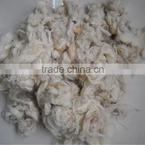 Carpet Grade Scoured Clipped Wool,White Color thumbnail-1