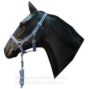 Horse Halter thumbnail-4