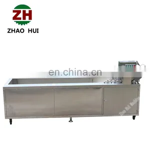 Industrial Automatic Ozone Air Celery Cabbage Vegetable & Fruit Apple Grape Washing Machine thumbnail-4