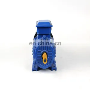 0.75KW 1.8AMP 2P Three-phase ac Induction Motor thumbnail-5