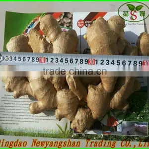 Dry Red Chilli Pods thumbnail-3