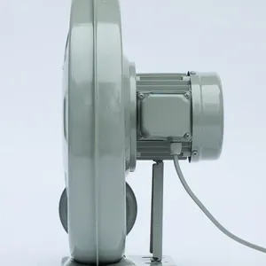 FZ8A5930