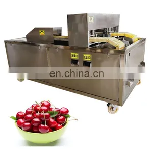 Automatic Fruit Stone Extractor Apricot and Apple Core Removal Machine. thumbnail-2