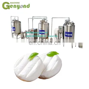Good Small Scale Cheese Making Equipment thumbnail-1