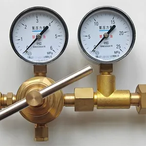 Hydrogen Argon YQY-370 All Copper Gas Oxygen High-pressure Nitrogen Pressure Reducing Valve Seismic Pressure Gauge thumbnail-1