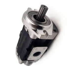 Hydraulic Pump D1A2716R336 Double Gear Oil Pump Replacement for Shimadzu Pump thumbnail-6