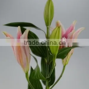Love Theme Sorbonne Crazy Selling Lilies Flower From China thumbnail-4