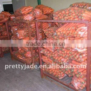 High Quality Fresh Carrot Supplier(80g Up) thumbnail-1