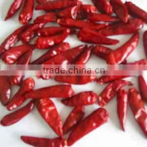 China New Crops,dry Hot Red Chaotian Tianying Tianjin Chilli thumbnail-1