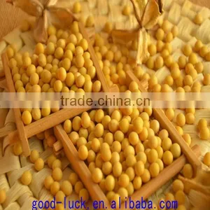 Chinese Soya Beans ,non-GMO,good Quality,cheap Price Quality Choice thumbnail-4