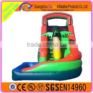 2016 Pop-selling Custom Made Inflatable Plastic Water Slide thumbnail-1
