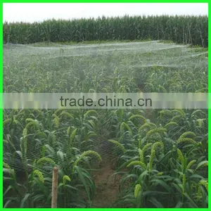 Virgin HDPE Plastic Bird Net/anti Flying Animal Protection Fence thumbnail-6