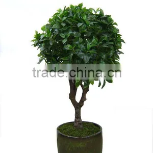 Artificial Plant/Artificial Tree thumbnail-1