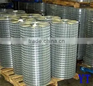 GI Welded Wire Mesh Factory thumbnail-1