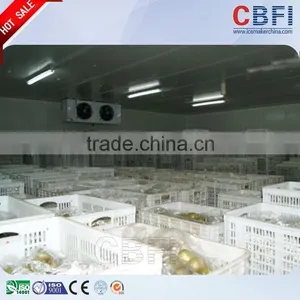 Factory Price Cold Room Compressor Hot Selling thumbnail-4