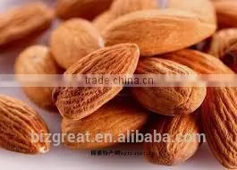 Roasted Salted Apricot Kernels Without Shell for Hot Sale thumbnail-1