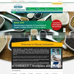 Online Website Design thumbnail-2
