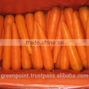 Carrot thumbnail-2