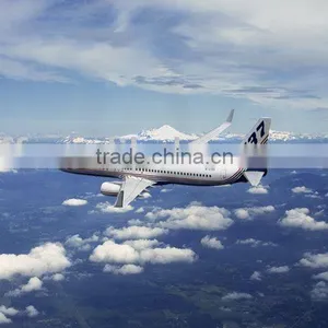 Air Cargo Freight/Air Shipment From China to GUATEMALA CITY,Panama City,St.Johns thumbnail-1
