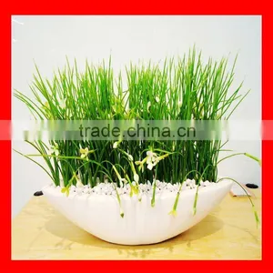 Artificial Plant thumbnail-1