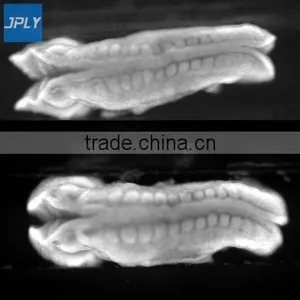 Application Images of USB3.0 Industrial Inspection&Microscopic Observation Camera thumbnail-2
