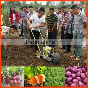 Nice Design 2 Line Carrot Seeder thumbnail-1