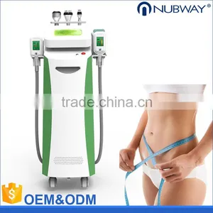 Low Price Cold Freeze Fat Body Slim Slimming Laser Weight Loss Machine for Home thumbnail-2