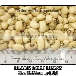 Cowpeas [Big] thumbnail-3