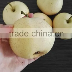Fresh Fruit Exporter From China Fresh Pear thumbnail-1