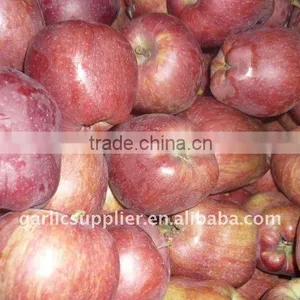 Fresh Huaniu Apple Crop 2011 thumbnail-1