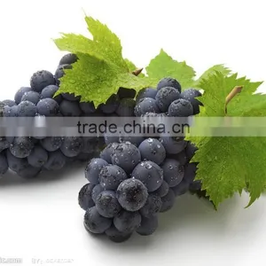 Natural Grape Seed Extract Proanthocyanidins Grape Seed Extract thumbnail-1