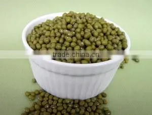 High Quality Mung Beans From Vietnam for Sprouting Good Packaging thumbnail-1