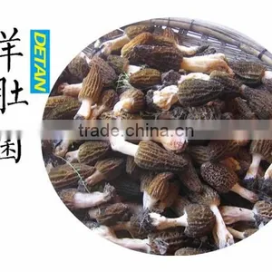 Fresh Morel Mushrooms Wild From Yunnan China thumbnail-5