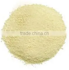 Vietnam Matcha Onion Allium Powder thumbnail-1