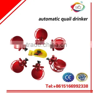 Drinker for Quails and Pigeon thumbnail-1