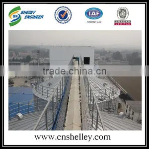 Peanut Grain Chain Conveyor for Sale thumbnail-1