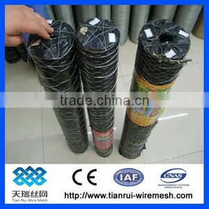 PVC Coated Galvanized Hexagonal Wire Netting /hexagonal Wire Mesh thumbnail-3